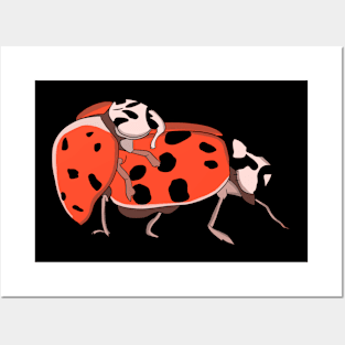 Ladybugs Mating Posters and Art